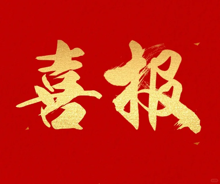 喜讯！我司荣获东阳光授予的“2025年度战略合作供应商”